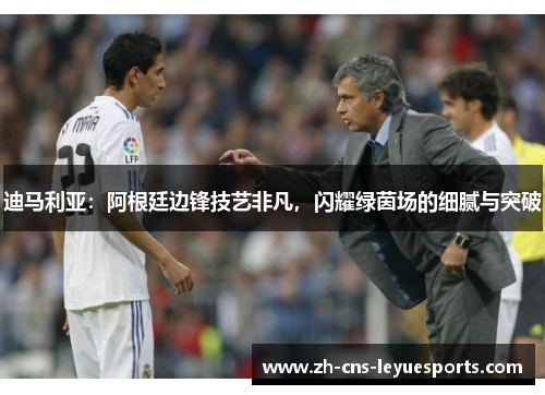 迪马利亚：阿根廷边锋技艺非凡，闪耀绿茵场的细腻与突破