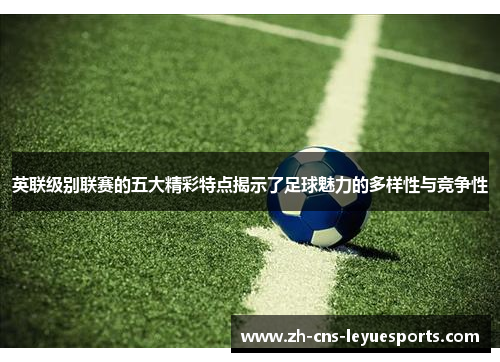 英联级别联赛的五大精彩特点揭示了足球魅力的多样性与竞争性