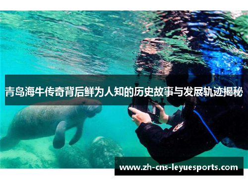 青岛海牛传奇背后鲜为人知的历史故事与发展轨迹揭秘