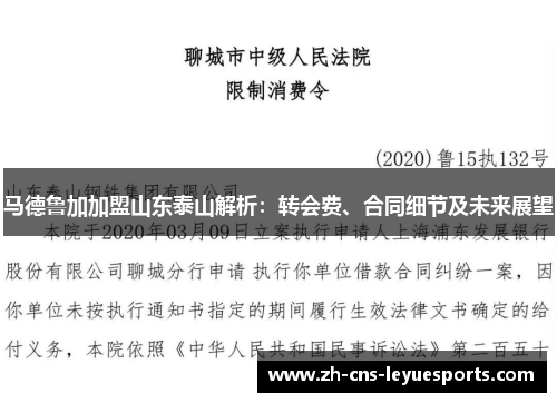 马德鲁加加盟山东泰山解析：转会费、合同细节及未来展望